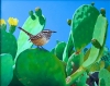 Cactus Wren