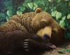 Portrait of a Bear